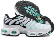 Nike Air Max TN 8909-393